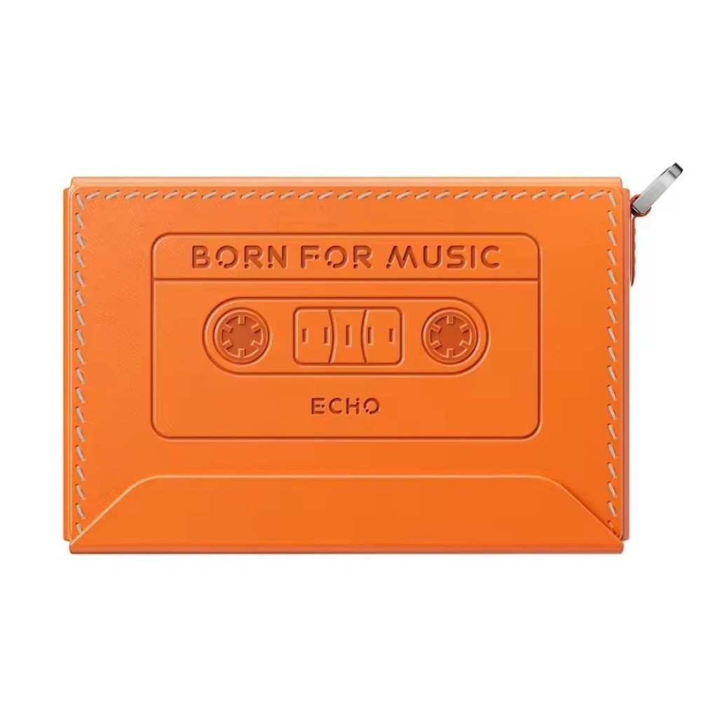 Bao da FiiO SNOWSKY NEST ECHO